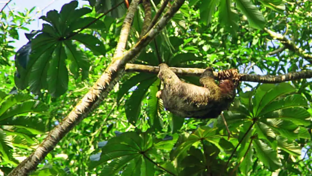 Traveling in Costa Rica