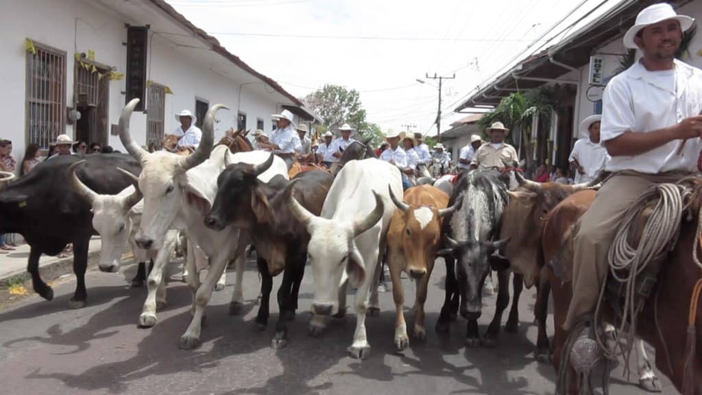 Liberia Airport Transfer