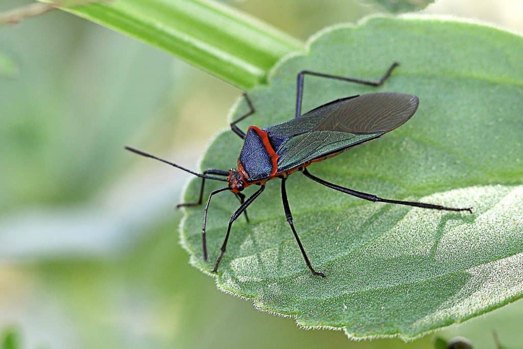 Private Tours Costa Rica