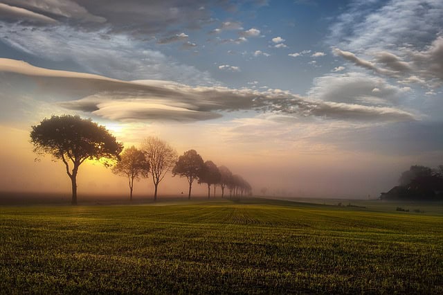 Guanaste Viajes and tour