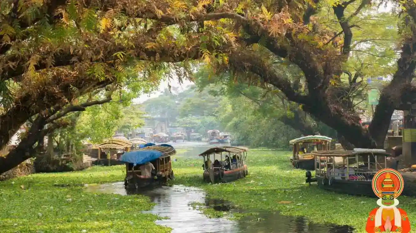 Scenic Kerala backwaters and palm trees near Alleppey