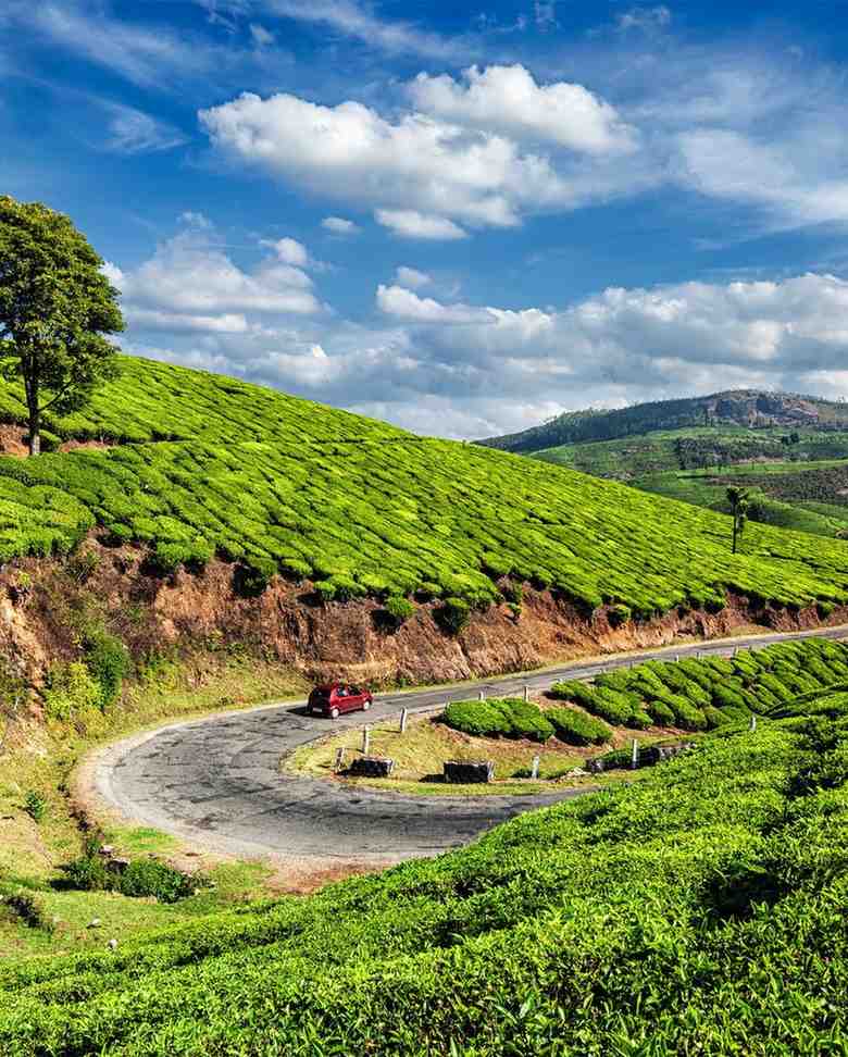 Munnar hillstation valley view during Kerala summer