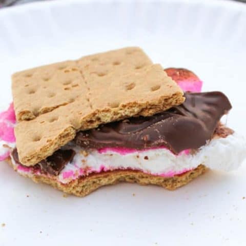 Peeps Campfire S’mores