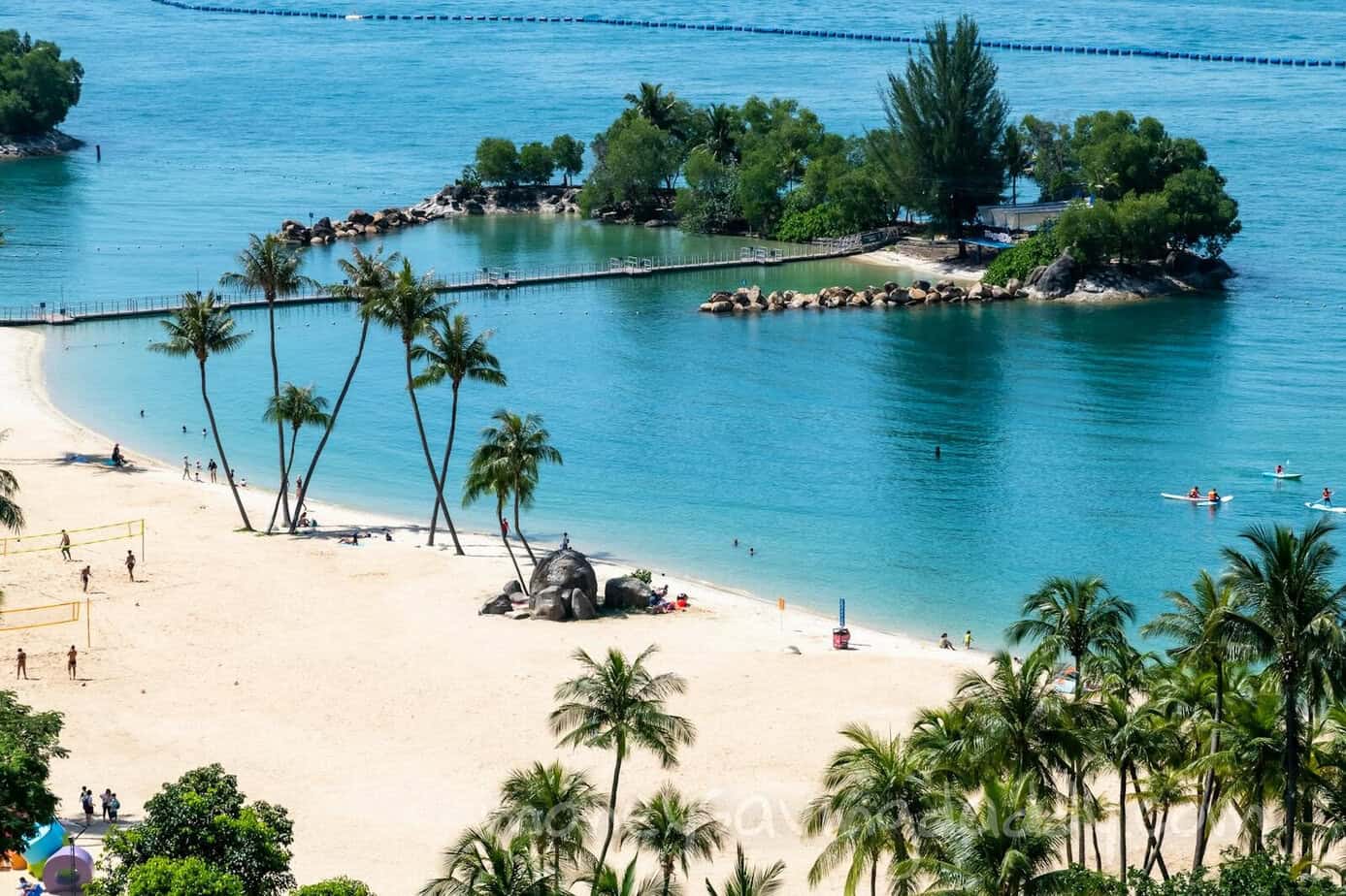 Stunning aerial view of a tropical beach with palm trees and turquoise waters, perfect for tourism.