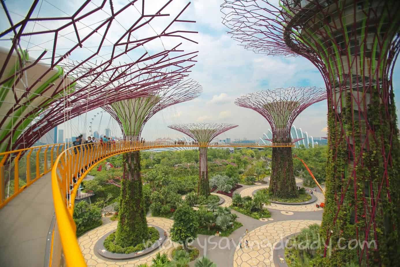 Explore the breathtaking Gardens by the Bay with towering Supertrees and lush greenery in Singapore.