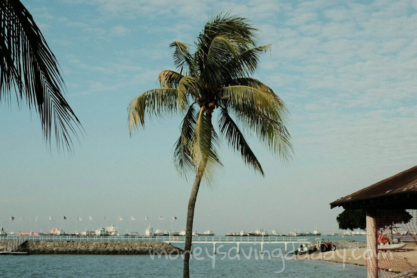 people on beach during daytime
