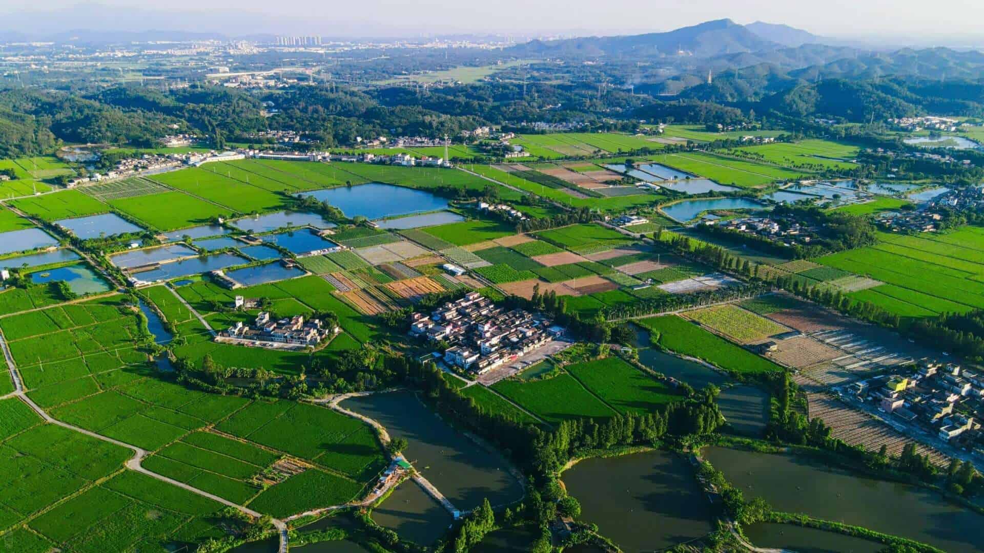 Aerial shot of Taishan’s green mountains, rice fields, and scattered villages.