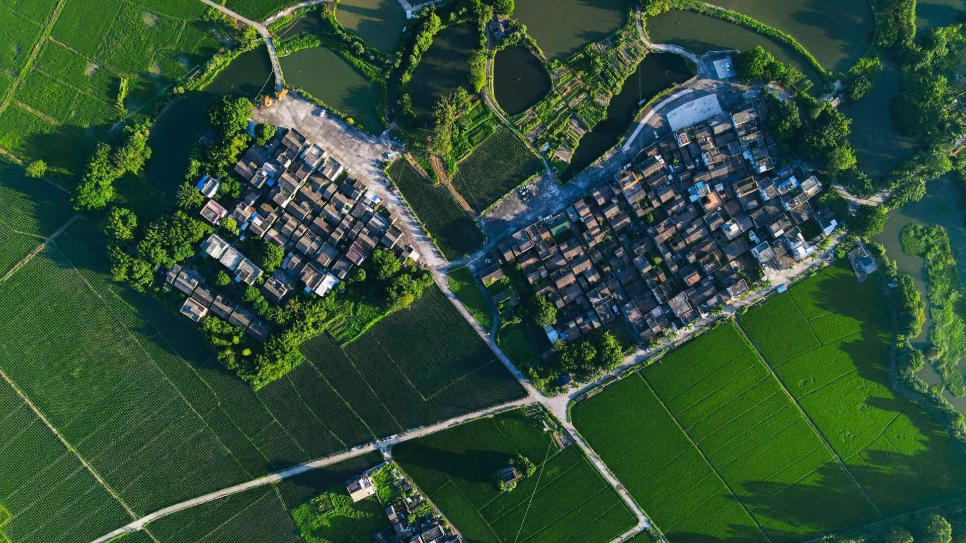 Two traditional villages in Taishan surrounded by green fields and fish ponds.