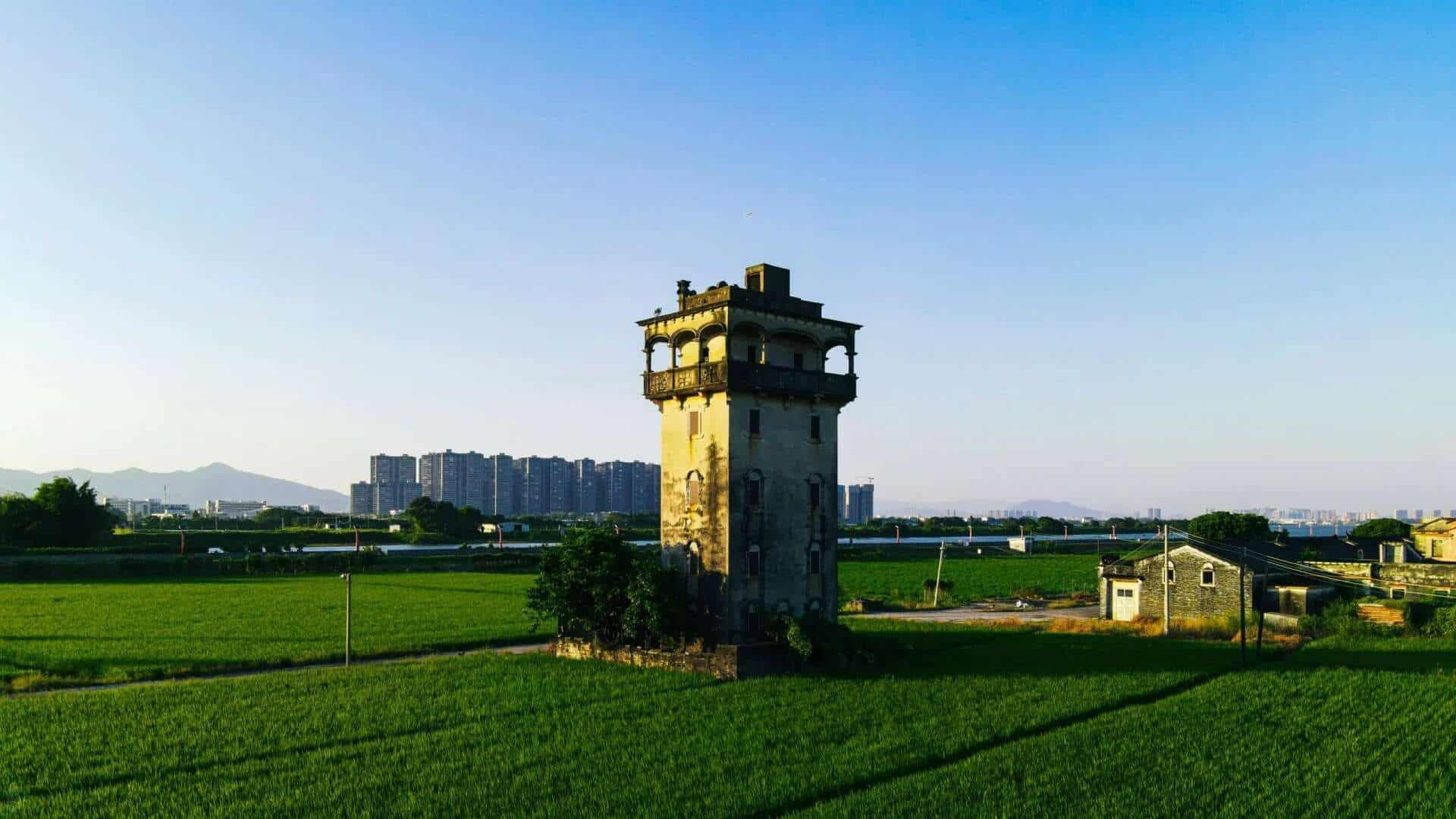 Historic diaolou (watchtowers) standing in the green fields of Taishan.