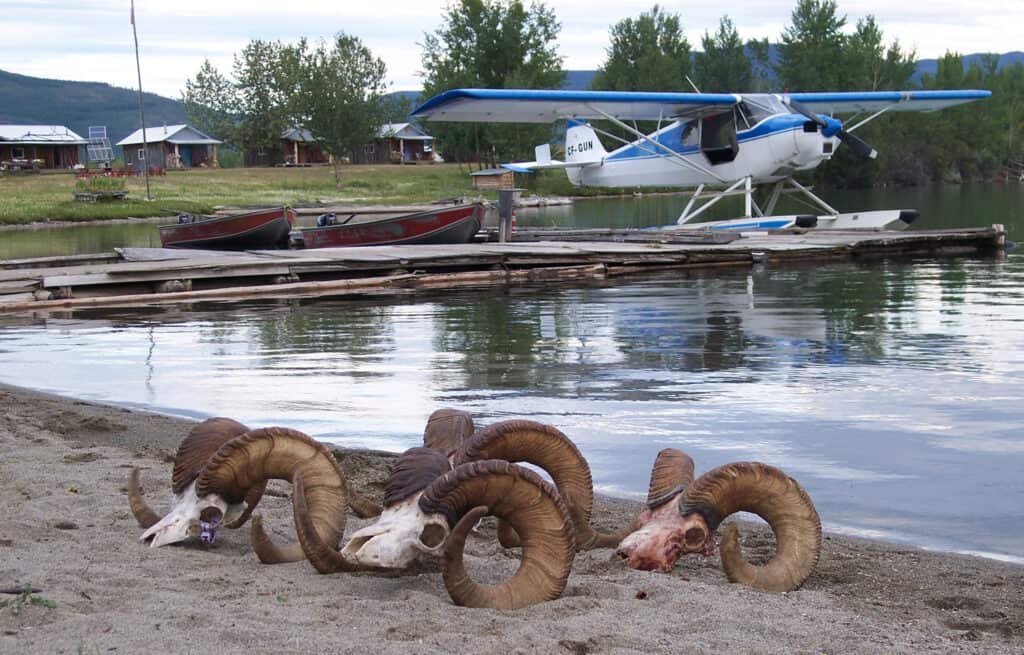 Seaplane docked at Scoop Lake with boats and cabins, perfect for outdoor recreation.