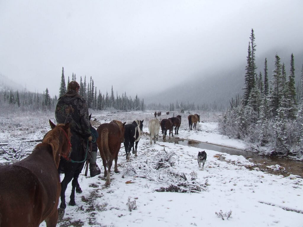Snow-covered horse trail with rider, horses, and mountain landscape at Scoop Lake Outfitter.