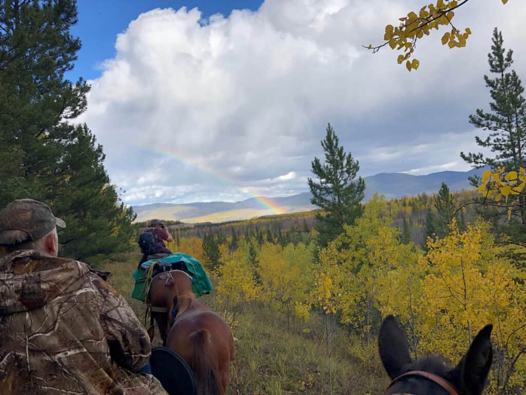 Hiking adventure through colorful forest with riders and horses under a rainbow and cloudy sky.