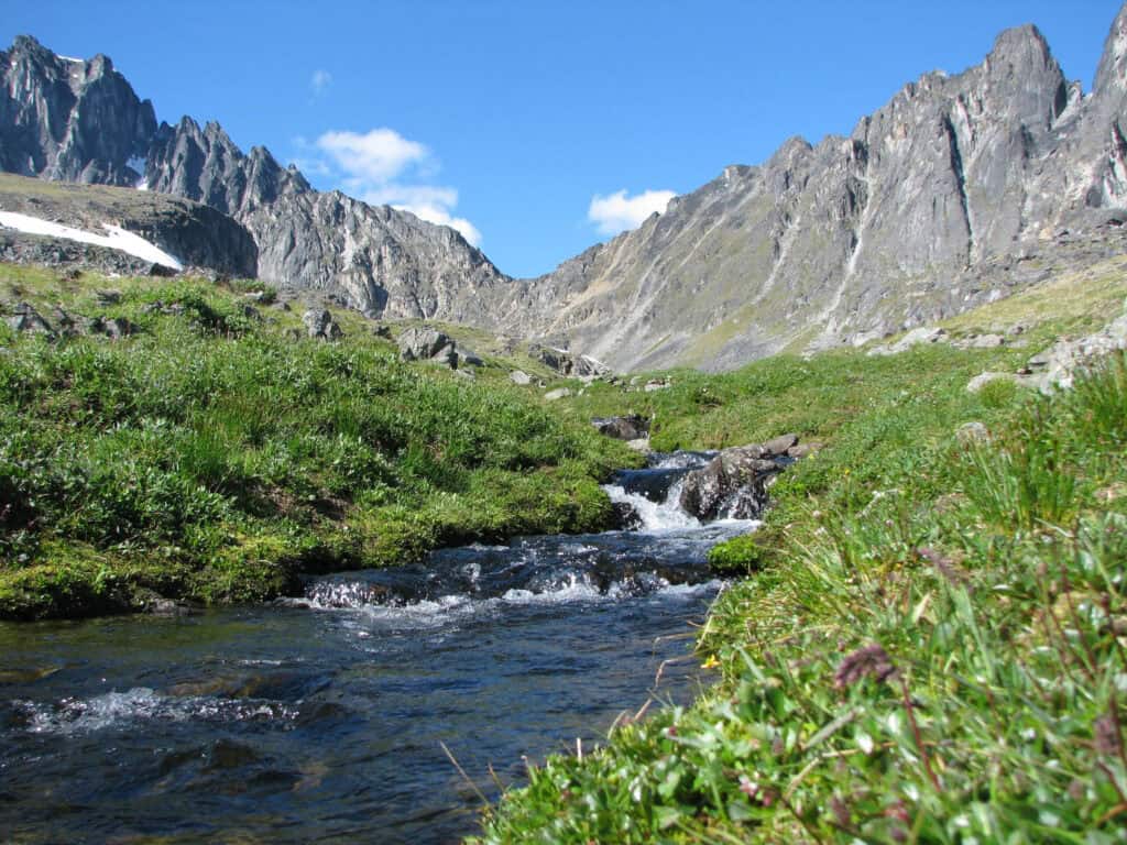 Tranquil mountain stream flowing through lush green landscape near Scoop Lake Outfitters.