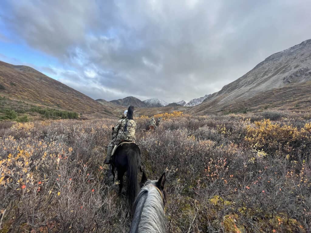 Horseback riding through scenic autumn landscape at Scoop Lake Outfitters, Alaska.