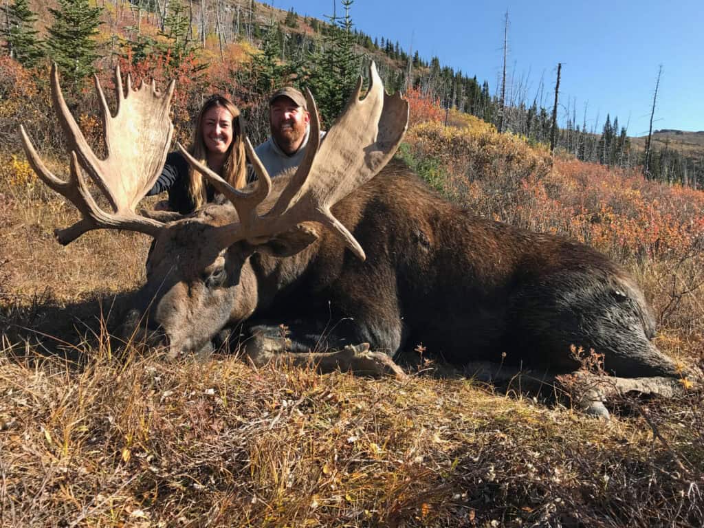 Moose hunting trip with two hunters and a large moose in scenic wilderness.