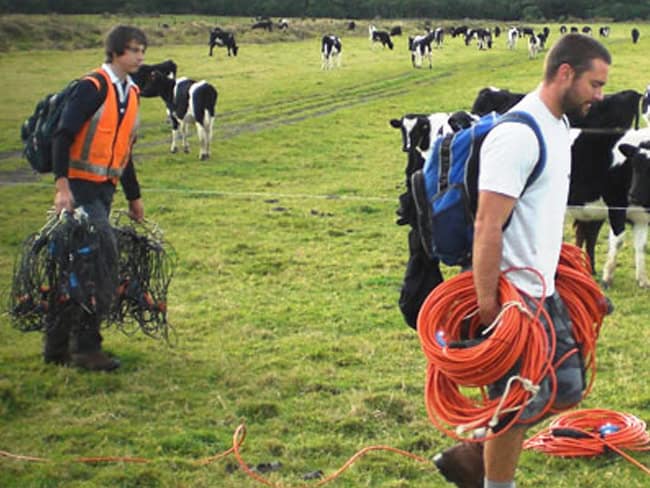 Drone operators in a rural field with dairy cows, conducting geophysical surveys for agricultural or environmental purposes.