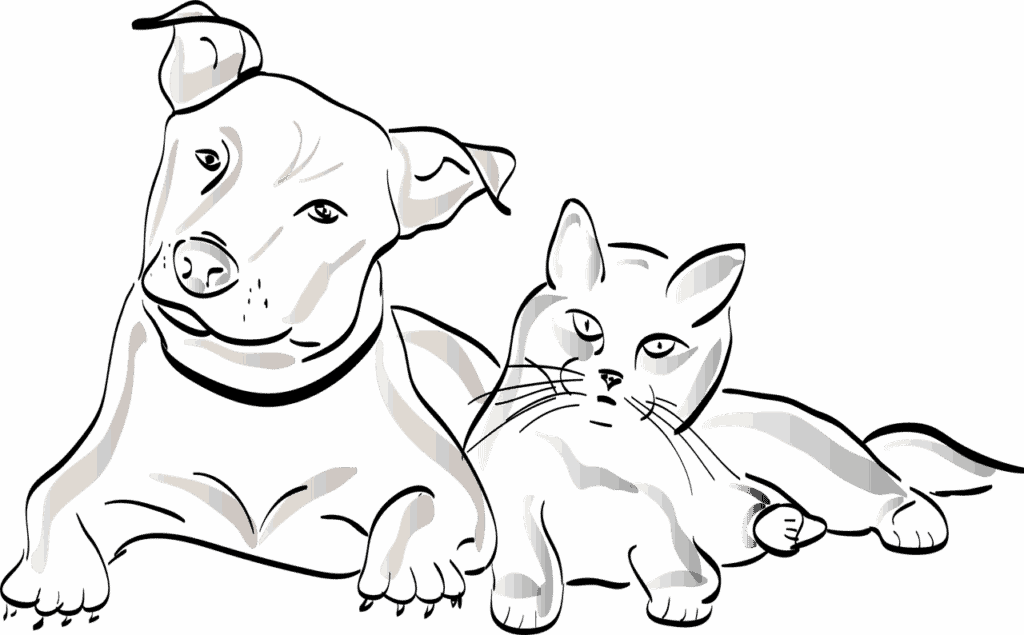 Dog, Cat, Pet drawing.