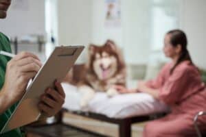 How Do I Move My Dog from the USA to Thailand USA to Thailand pet import requirements, Pet travel from USA to Thailand Thailand pet import permit Dog travel requirements Thailand