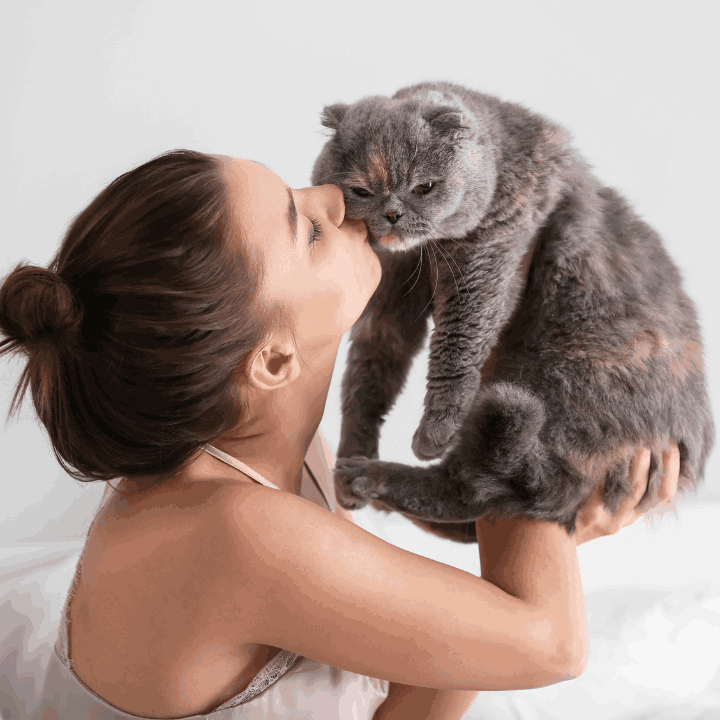 Cat owner holding and kissing her grey-and-orange snub-nosed cat against a white background.