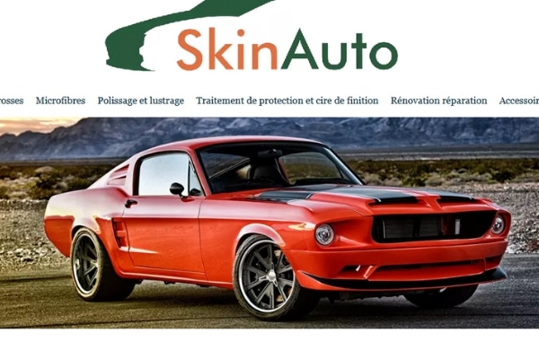 skinauto.jpg