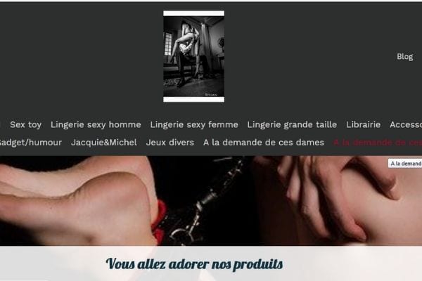 erotichicstore.jpg