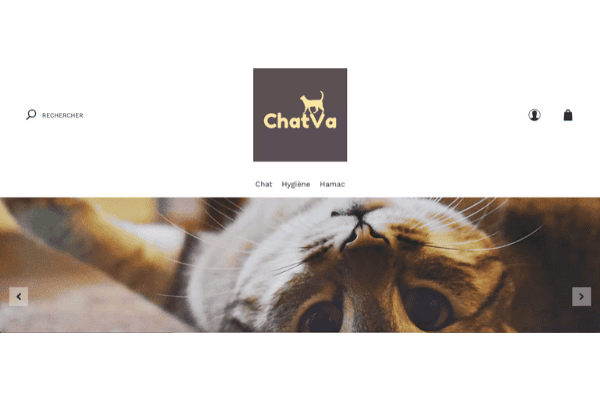 ChatVa.jpg