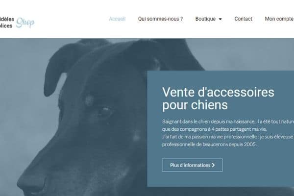 Sans titre (8).jpg