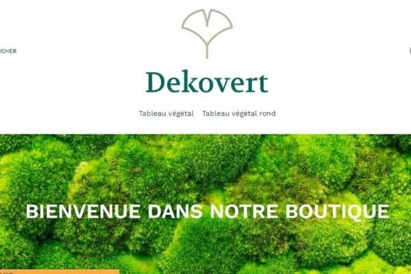 Dekovert.jpg
