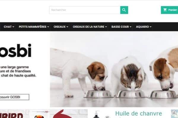 Sans titre (1).jpg