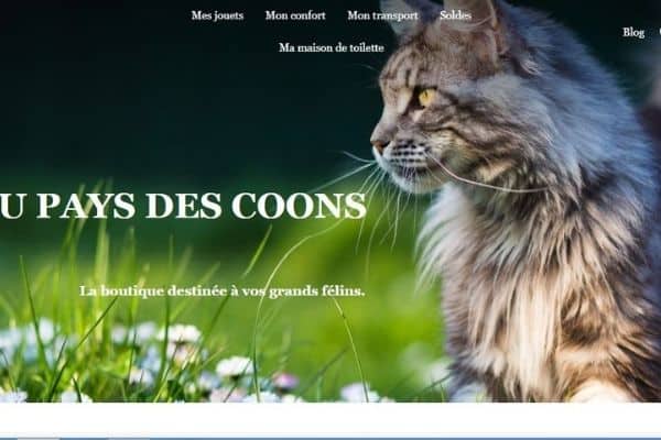 Au pays des Coons.jpg