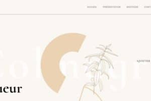 fallback-no-image-24021