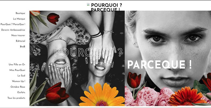 pourquoi.jpg