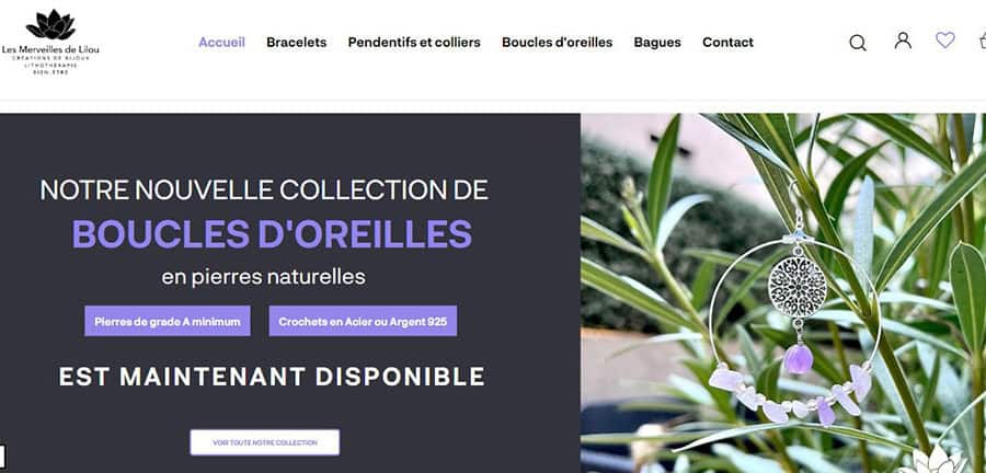 lesmerveilles de lilou.jpg