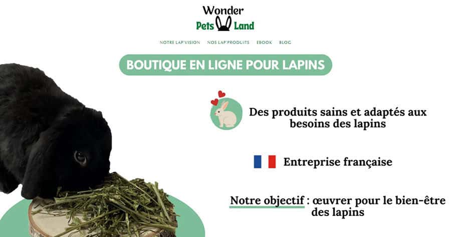 wonderpets land.jpg