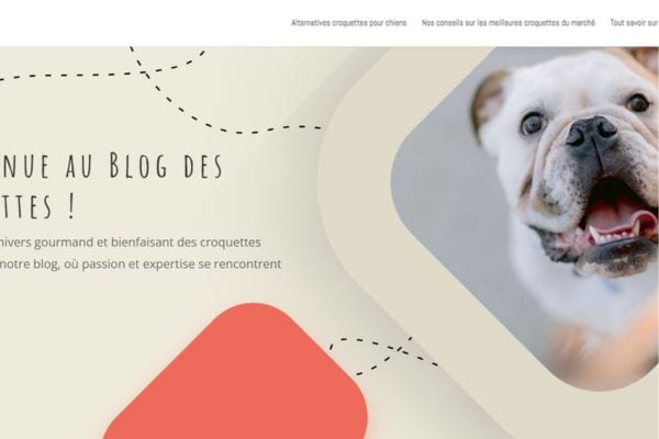 blogdescroquettes.jpg