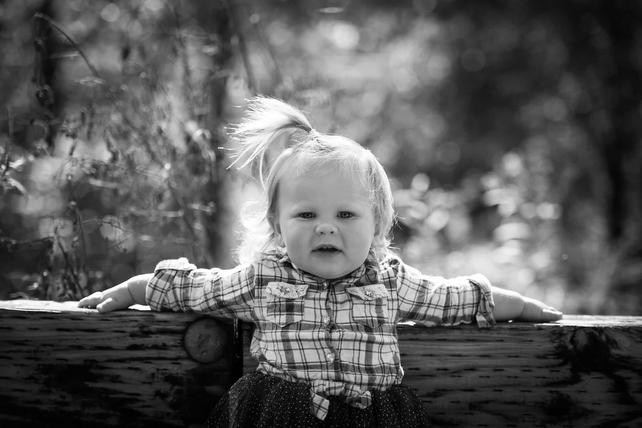 Spencerville Covered Bridge, Spencerville, Indiana Family Photography by Kasey Wallace Photography