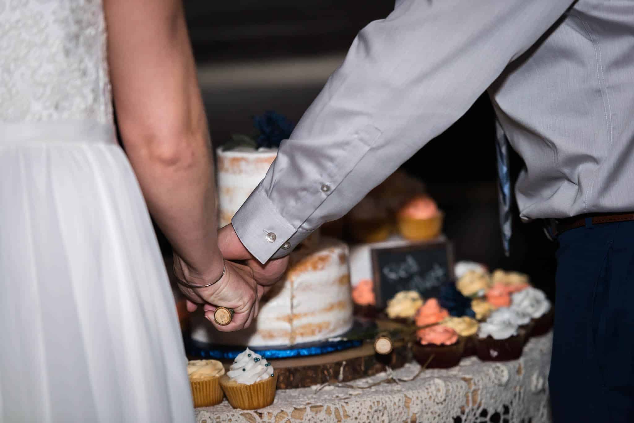 Close up of bride and groom cutting wedding cake together at Pokagon State Park