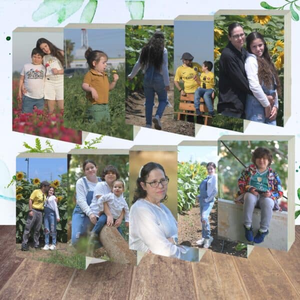 5 תמונות על קוביית עץ מסתובבת