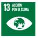 13. Acción por el clima