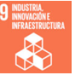9. Industria, innovación e infraestructura