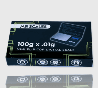 MR SCALES MINI FLIP-TOP SCALE 100G X .01G MRS1003