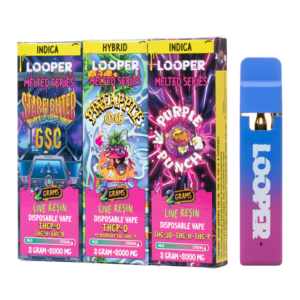 LOOPER 2G DISPOSABLE