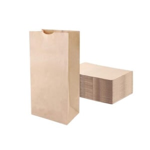 PREMIER PAPER BAG BROWN 2LB 500CT