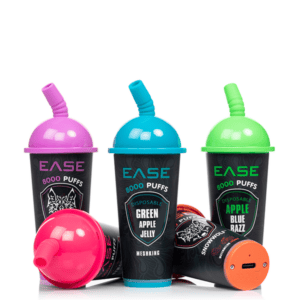 EASE 8000 PUFF DISPOSABLE VAPE RECHARGEABLE