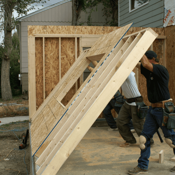 A construction scene showing three caucasian male workers installing a large wooden wall panel. The workers are wearing blue jeans, work boots, and tool belts. The wall panel is made of oriented strand board (OSB) and is being lifted into place against a partially finished exterior wall. The exterior wall has exposed OSB panels and a white-framed window. The background shows a light gray house with vinyl siding and trees with green foliage. The ground is dirt and gravel, with construction debris including a red tool on the ground. The lighting shows it's daytime, with natural outdoor lighting casting soft shadows. The workers are positioned at the base of the wall panel, with one worker in a black shirt actively participating in the installation while the others are assisting.