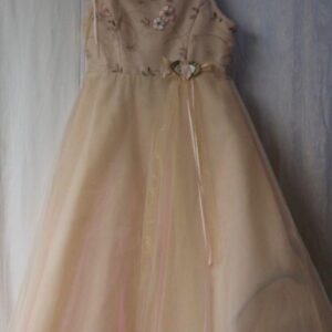 h469736-rose-girls-party-dress