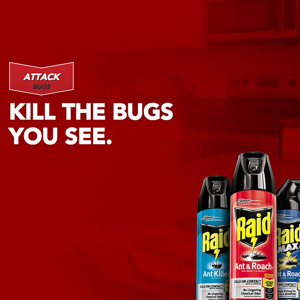 Raid Ant & Roach Pine Fresh 1Lb