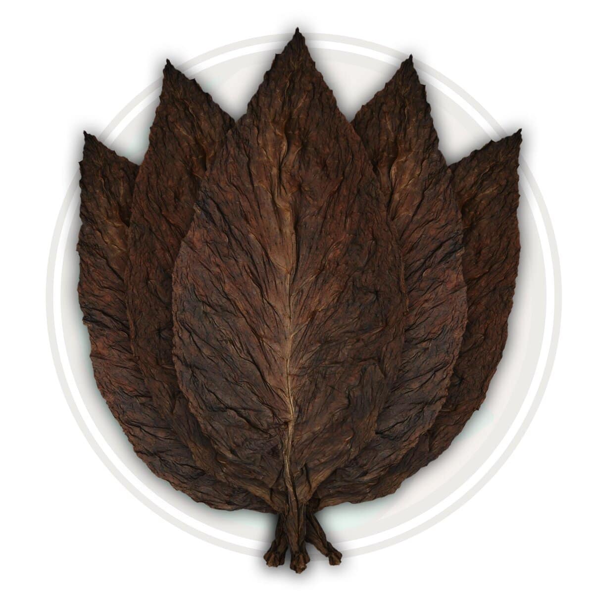 Fronto Leaf Black
