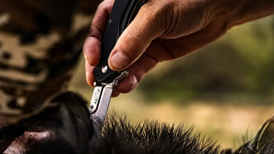 Best Knife Steels Compared Which Blade Steel Holds an Edge the Longest