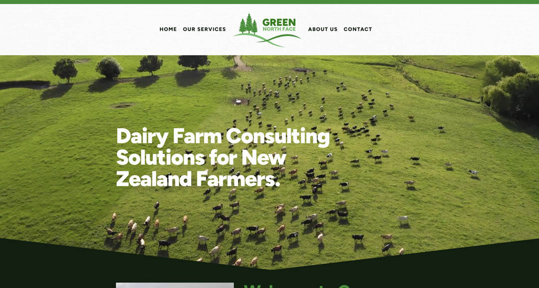 Aerial view of a dairy farm with cows grazing on lush green pastures in New Zealand.